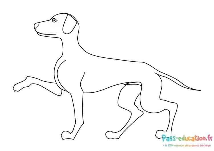 Coloriage Chien en mouvement à imprimer et colorier