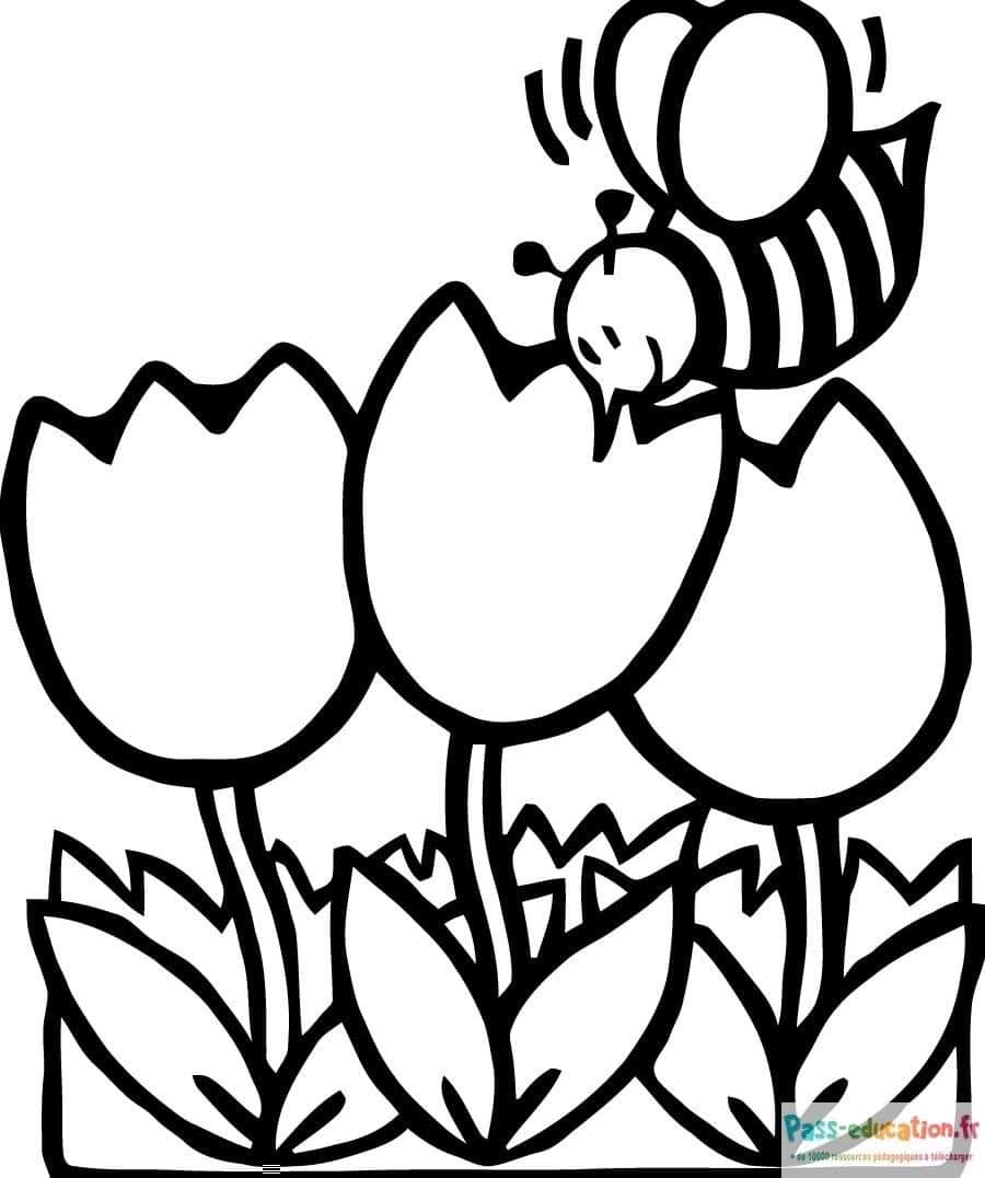 Coloriage Abeille et tulipes à imprimer et colorier