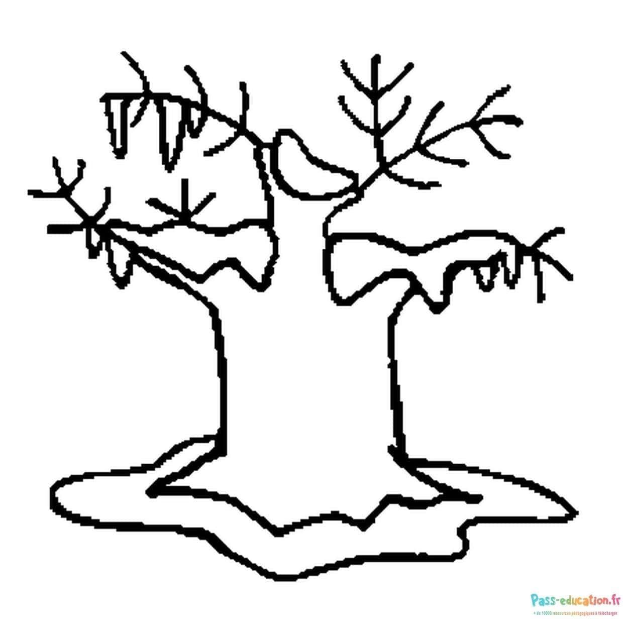 Coloriage Dessin arbre sans feuilles à imprimer et colorier