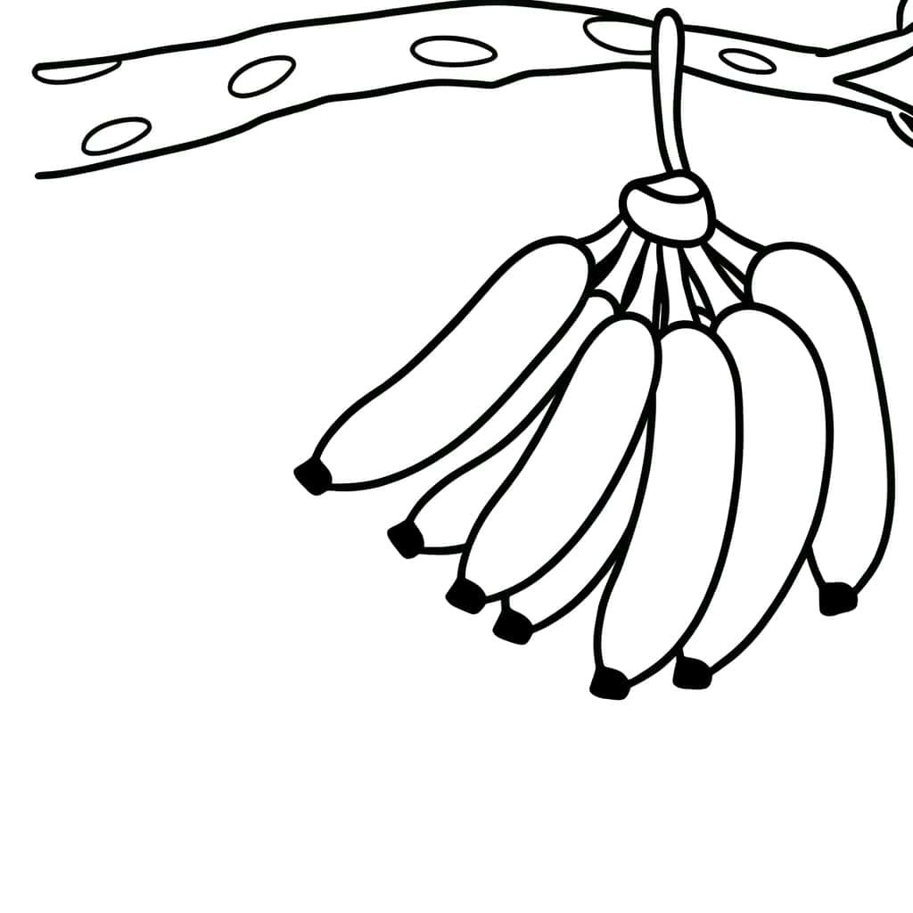 Coloriage Grappes de bananes à imprimer et colorier