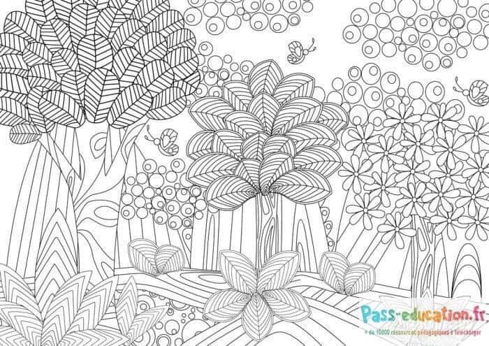 Coloriage Forêt enchantée à imprimer et colorier