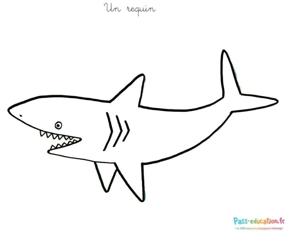 Coloriage Requin souriant à imprimer et colorier