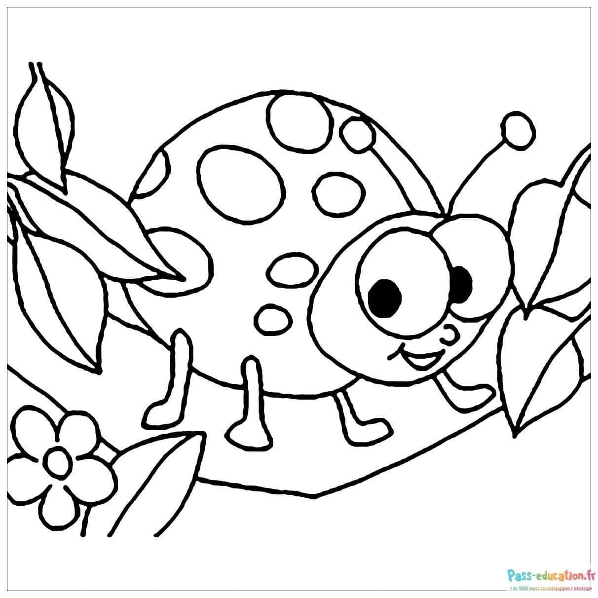 Coloriage Coccinelle rigolote à imprimer et colorier