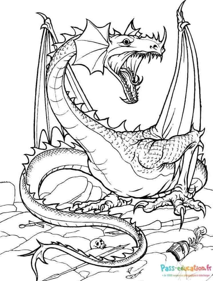 Coloriage Dragon majestueux à imprimer et colorier
