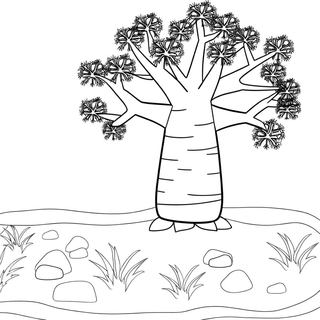 Coloriage Baobab africain à imprimer et colorier
