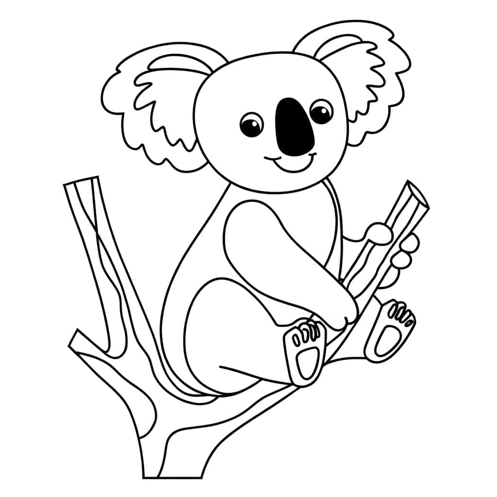 Coloriage Bébé Koala à imprimer et colorier