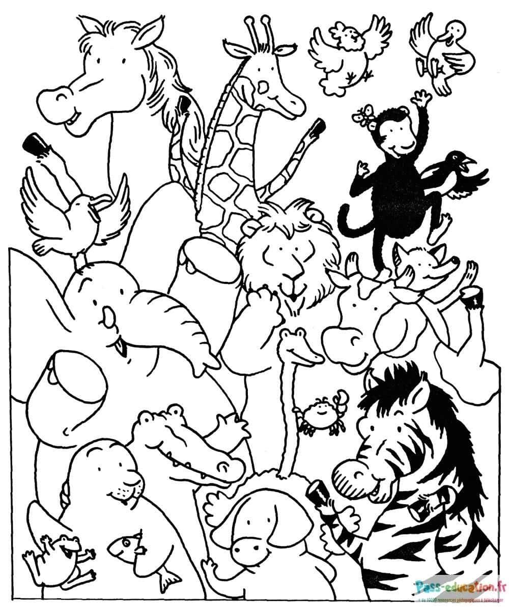 Coloriage Concert animalier à imprimer et colorier