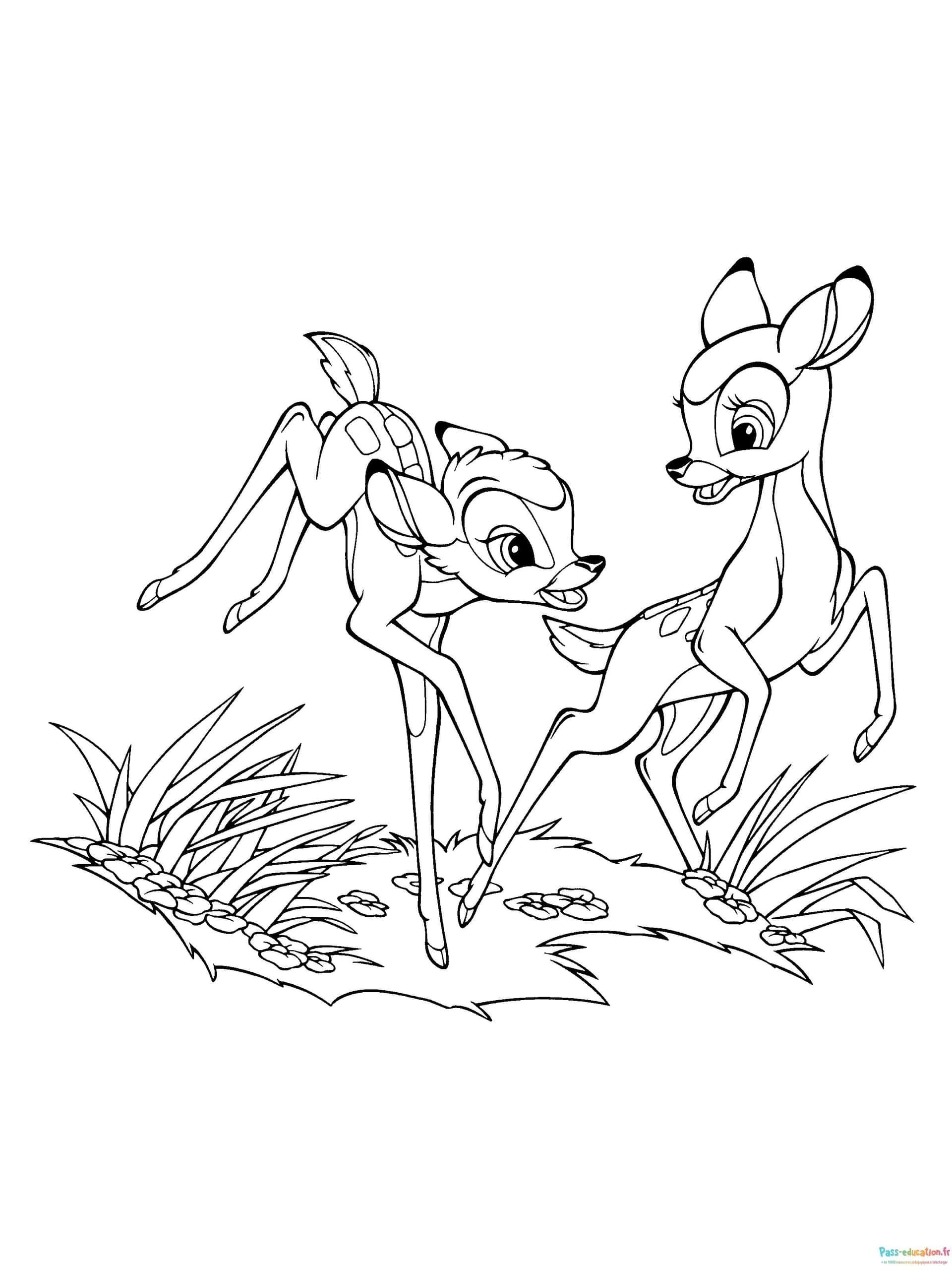 Coloriage Bambi et Feline à imprimer et colorier