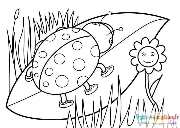 Coloriage Coccinelle et fleur à imprimer et colorier