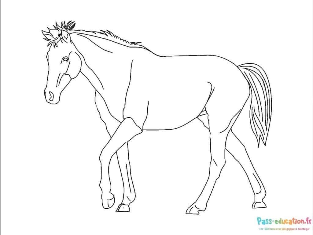 Coloriage Dessin de cheval à imprimer et colorier