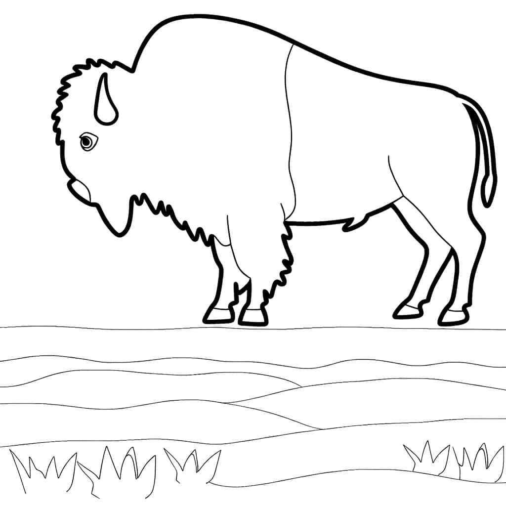Coloriage Bison dans la prairie à imprimer et colorier