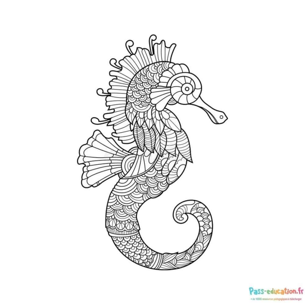 Coloriage Hippocampe mandala à imprimer et colorier