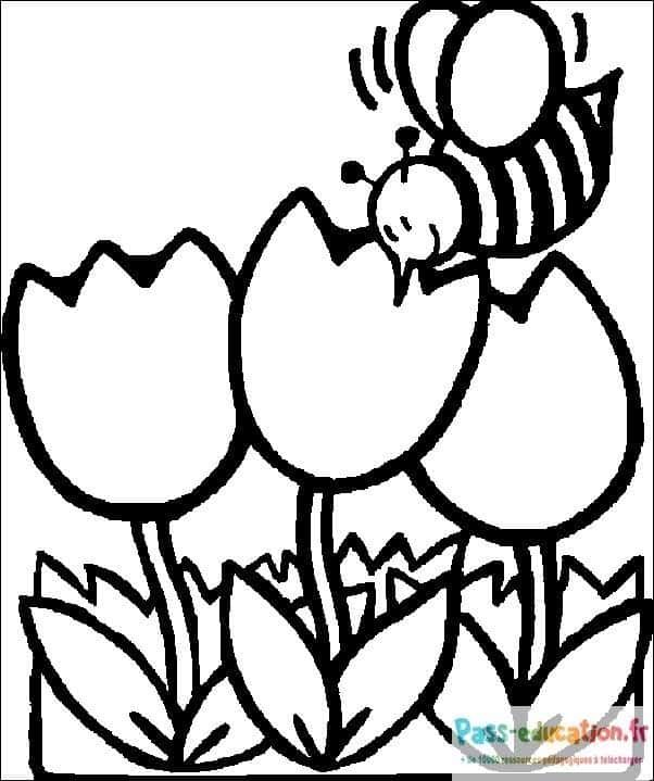 Coloriage Abeille et tulipes à imprimer et colorier