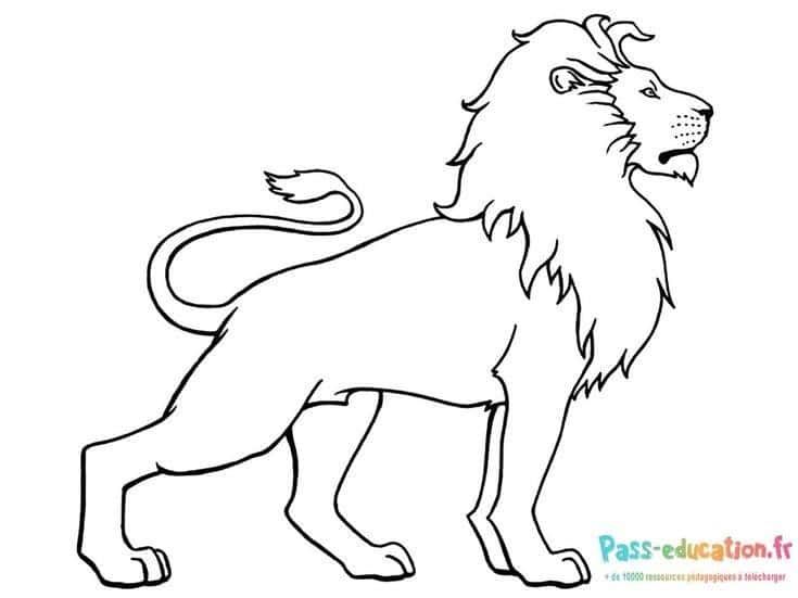 Coloriage Lion majestueux à imprimer et colorier