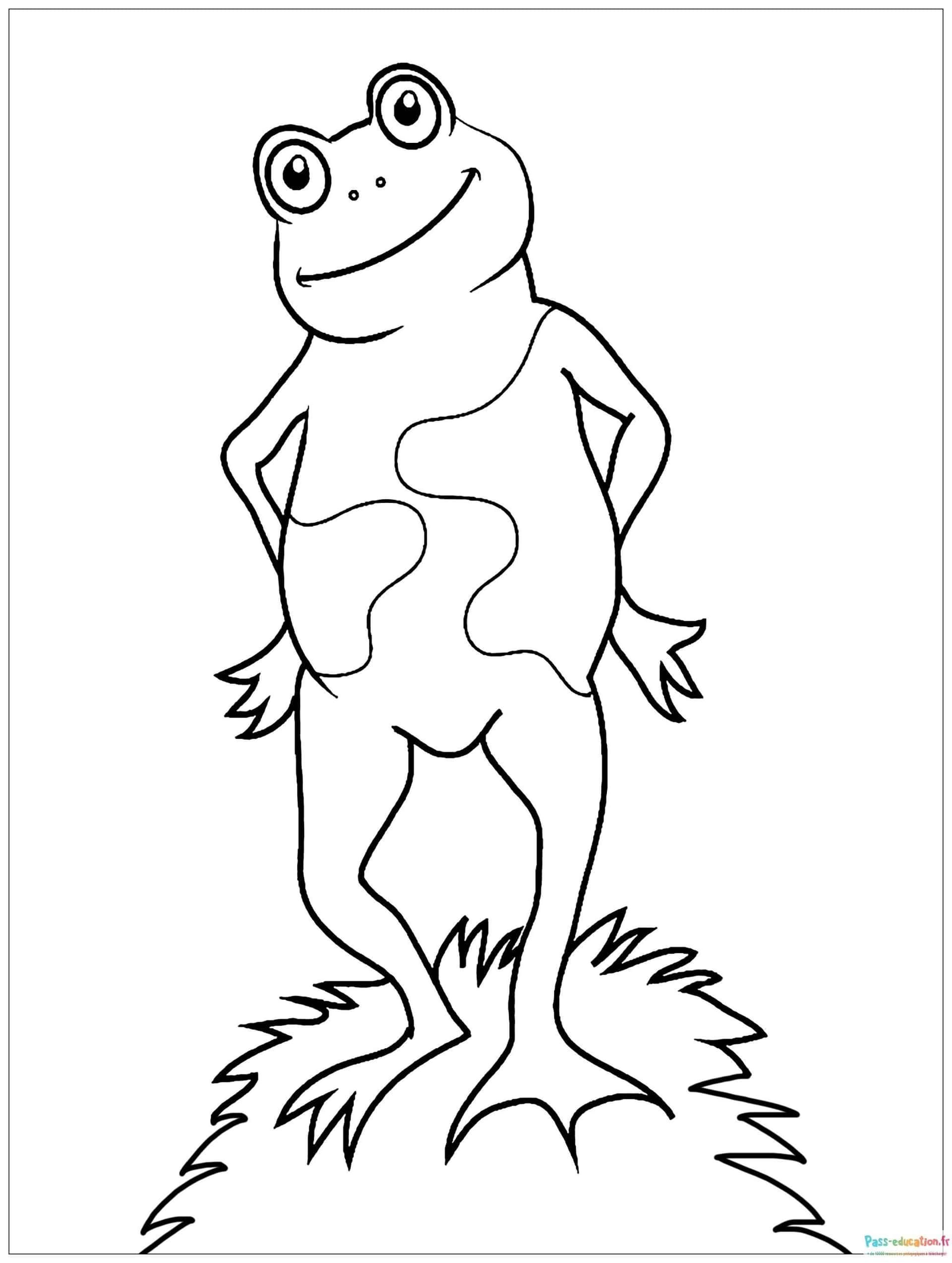Coloriage Grenouille souriante à imprimer et colorier