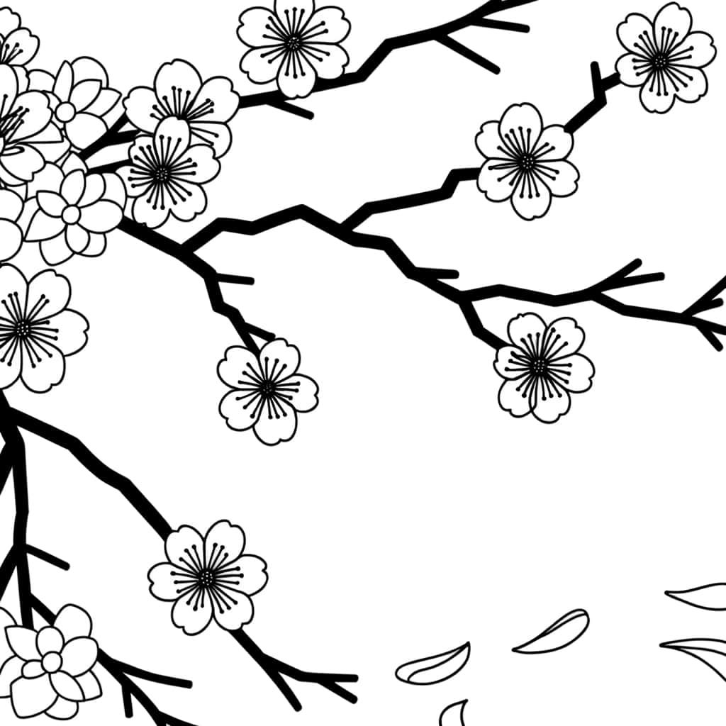 Coloriage Cerisier du Japon à imprimer et colorier
