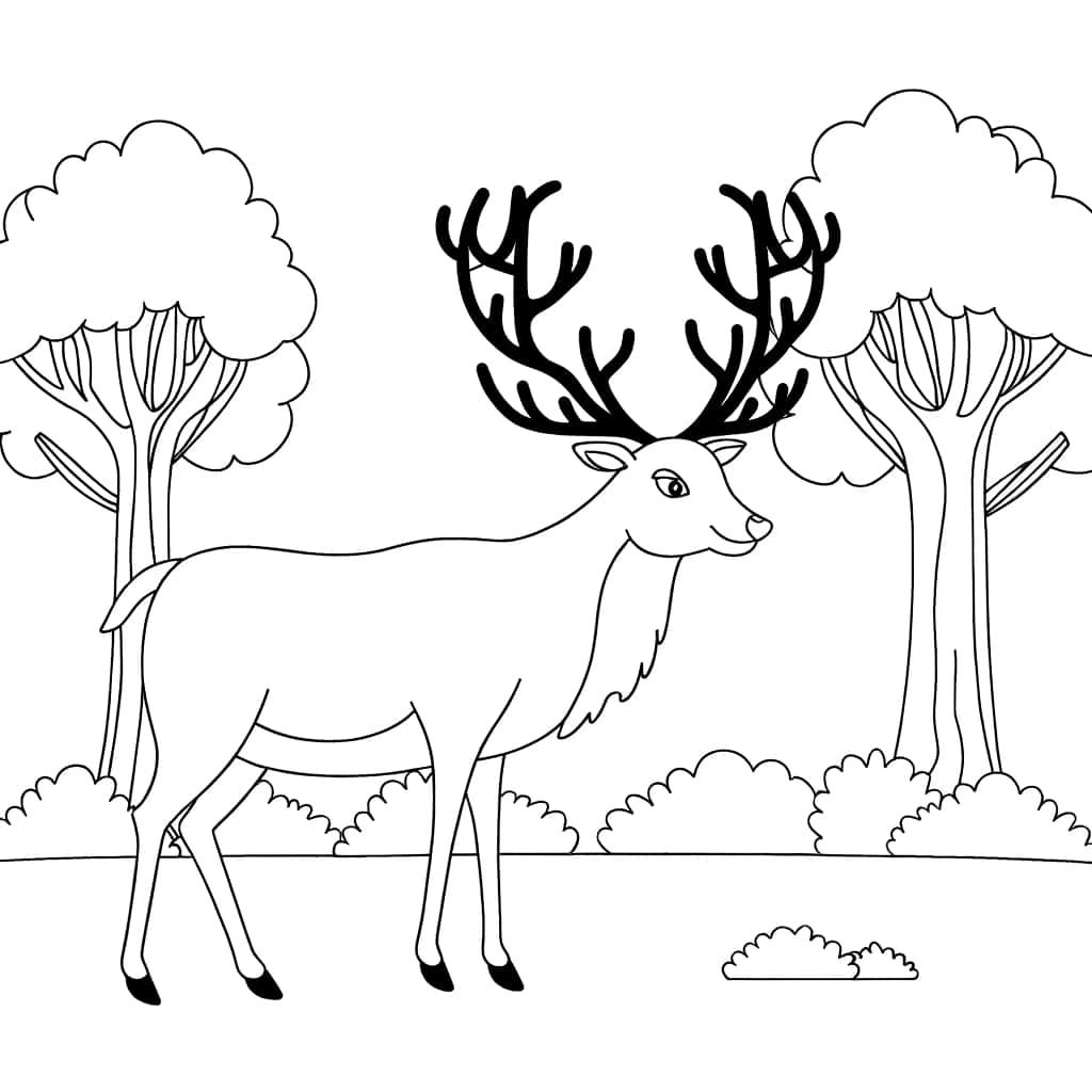 Coloriage Cerf dans la forêt à imprimer et colorier