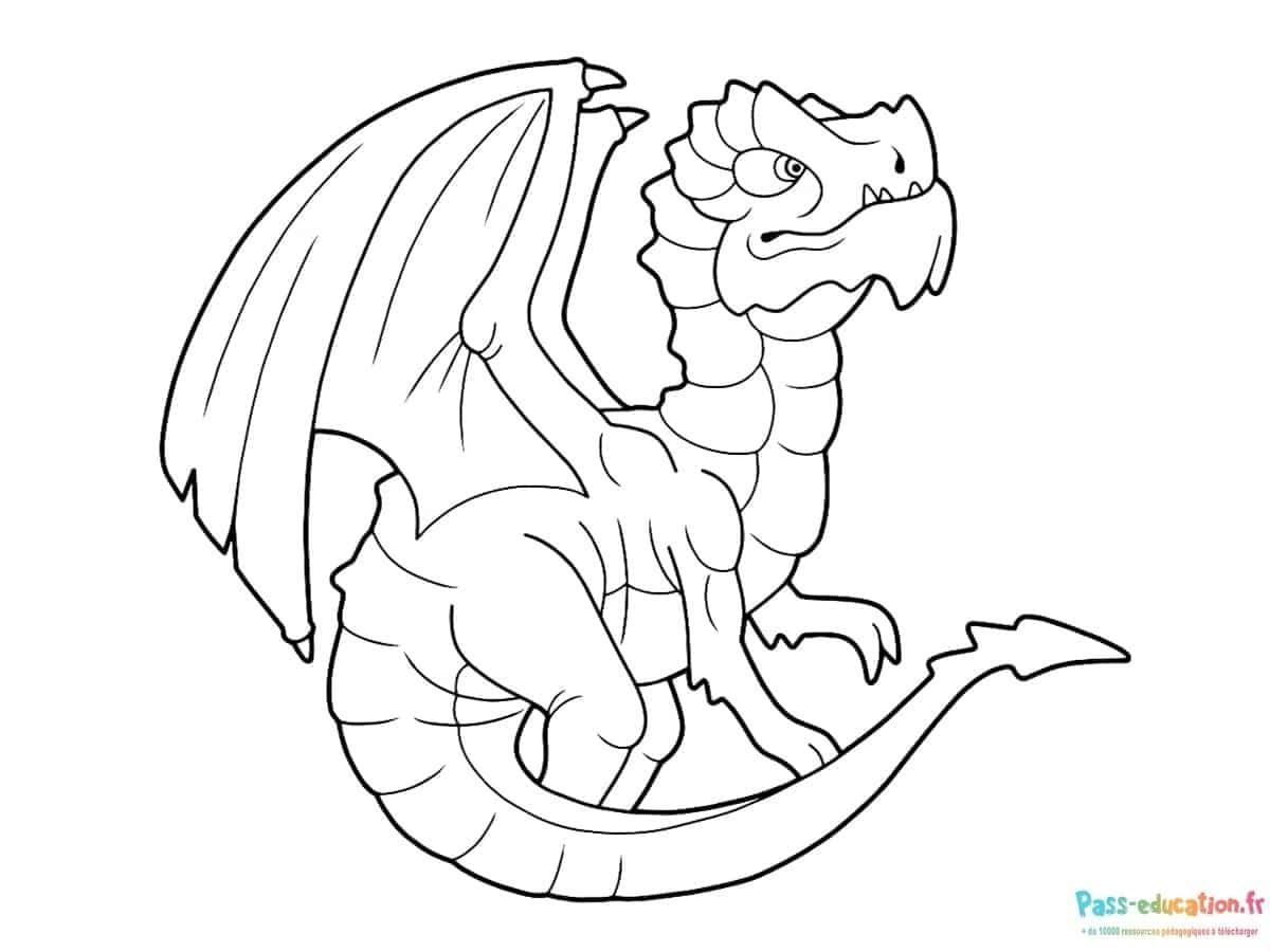 Coloriage Dragon majestueux à imprimer et colorier