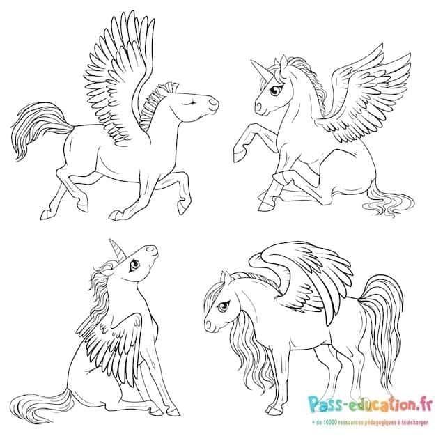 Coloriage Poneys ailés à imprimer et colorier