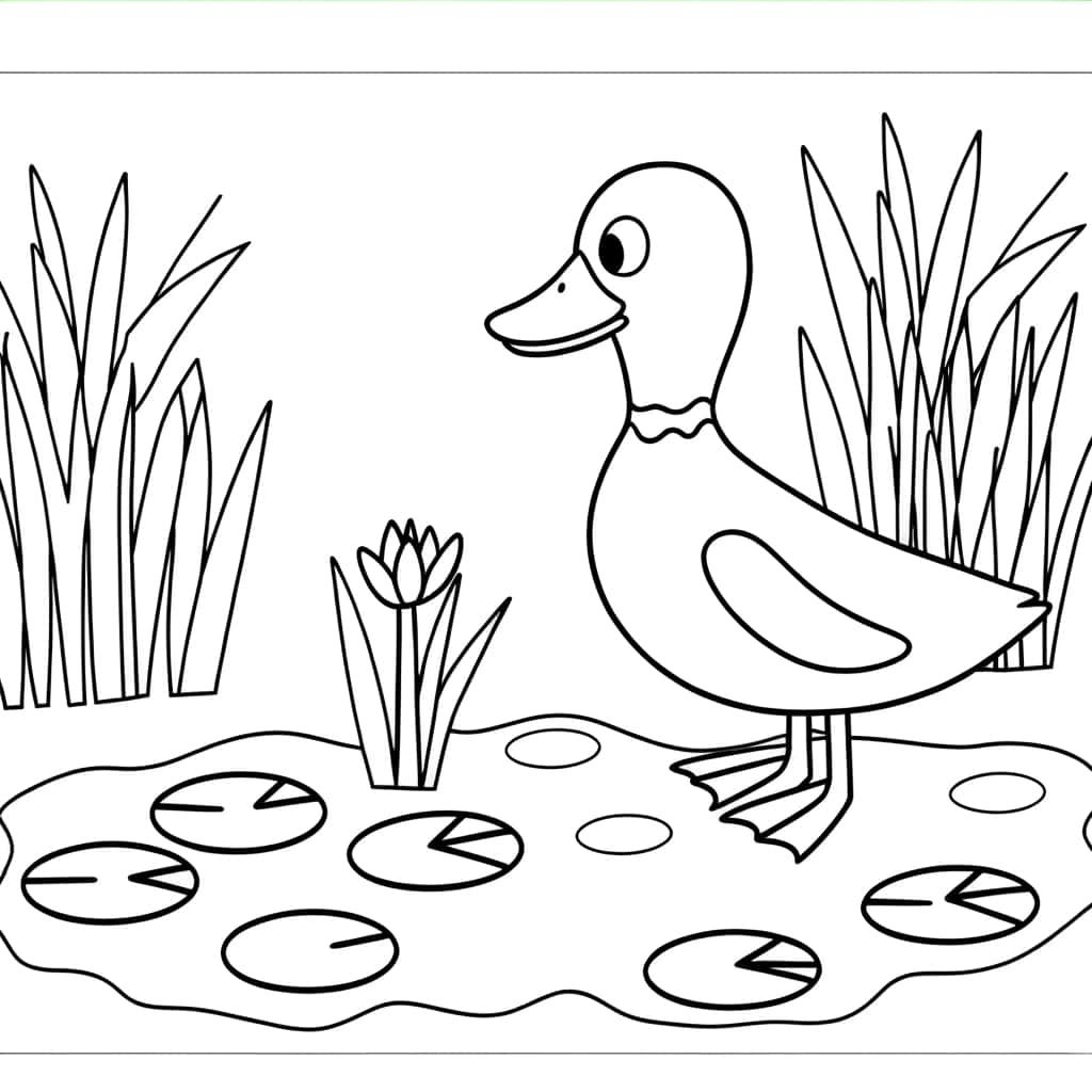 Coloriage Canard au bord de l'eau à imprimer et colorier