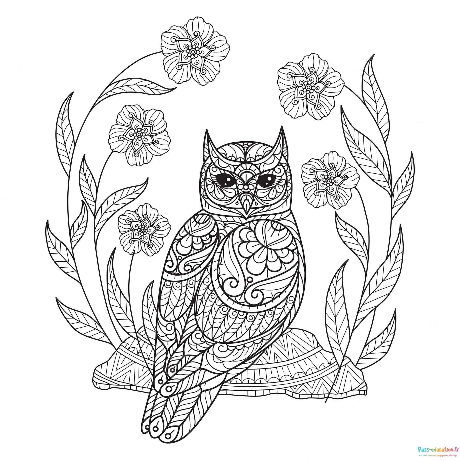 Coloriage Hibou mandala à imprimer et colorier