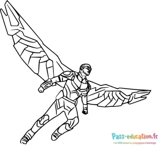 Coloriage Faucon Volant à imprimer et colorier