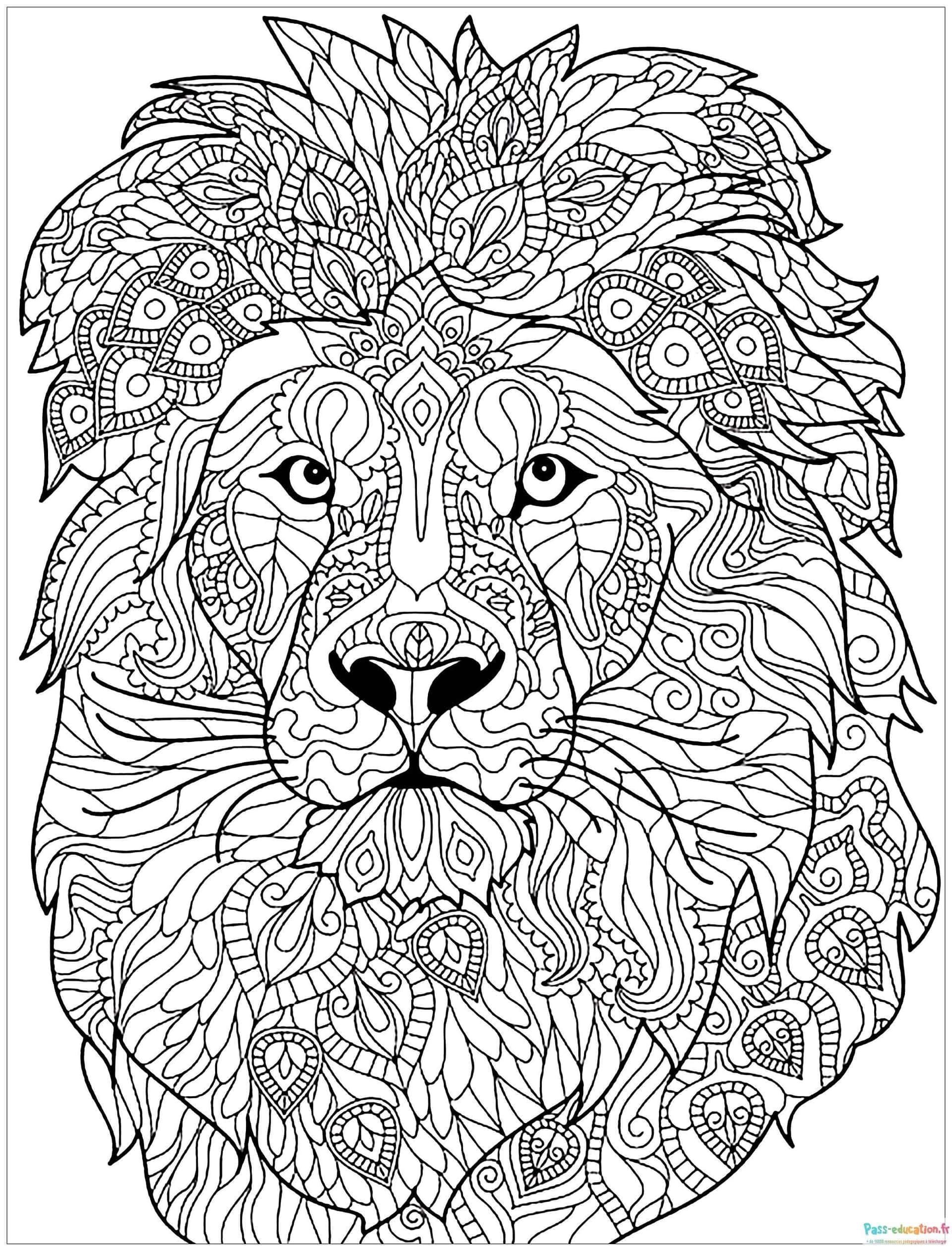 Coloriage Roi de la jungle à imprimer et colorier