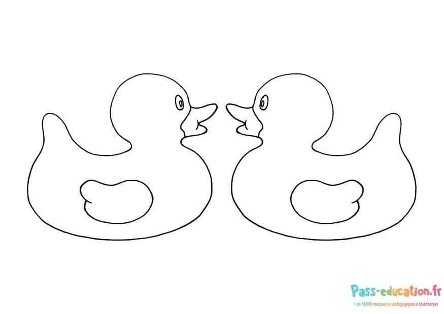 Coloriage Deux canards face à face à imprimer et colorier