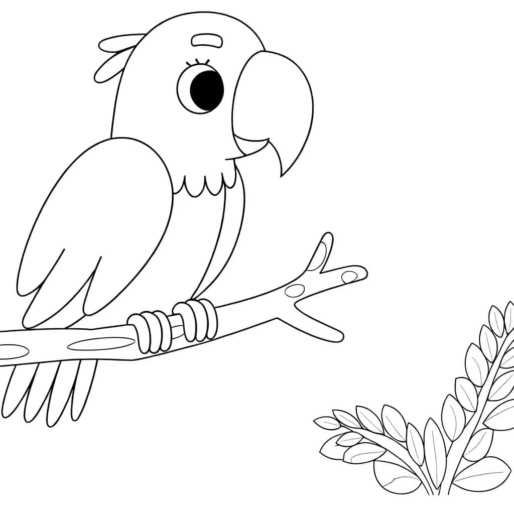 Coloriage Perroquet sur branche à imprimer et colorier