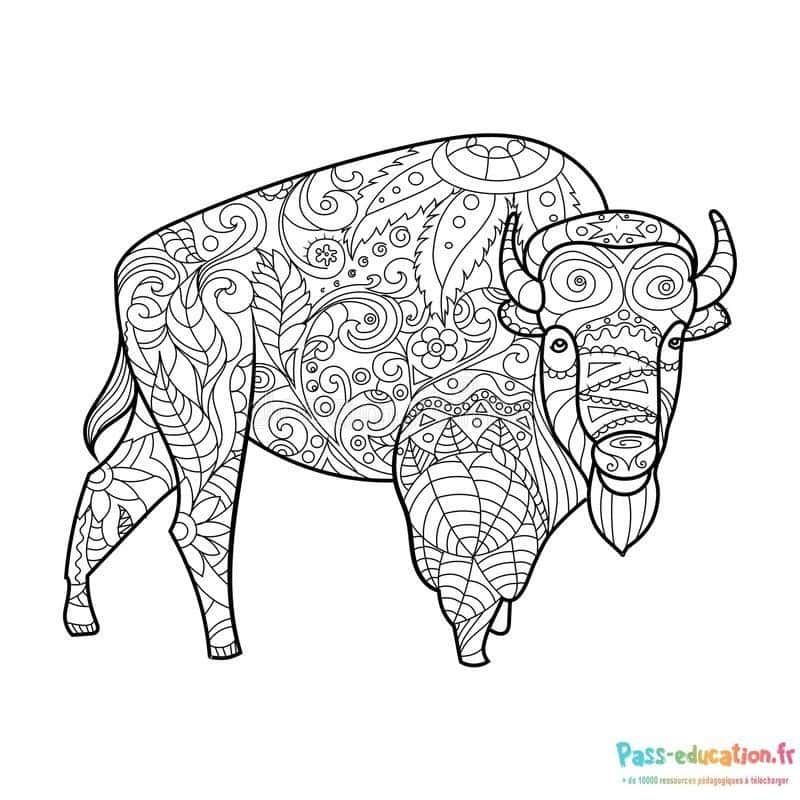 Coloriage Bison mandala à imprimer et colorier
