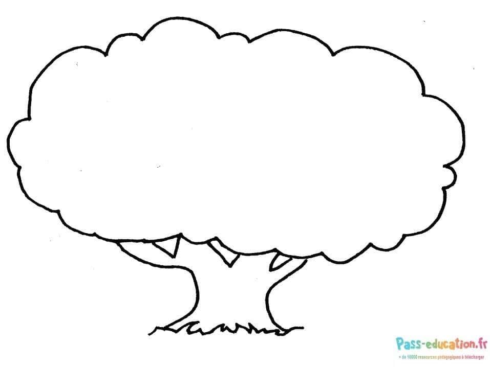 Coloriage Arbre touffu à imprimer et colorier