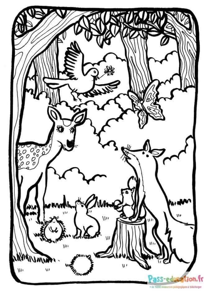 Coloriage Animaux de la forêt à imprimer et colorier
