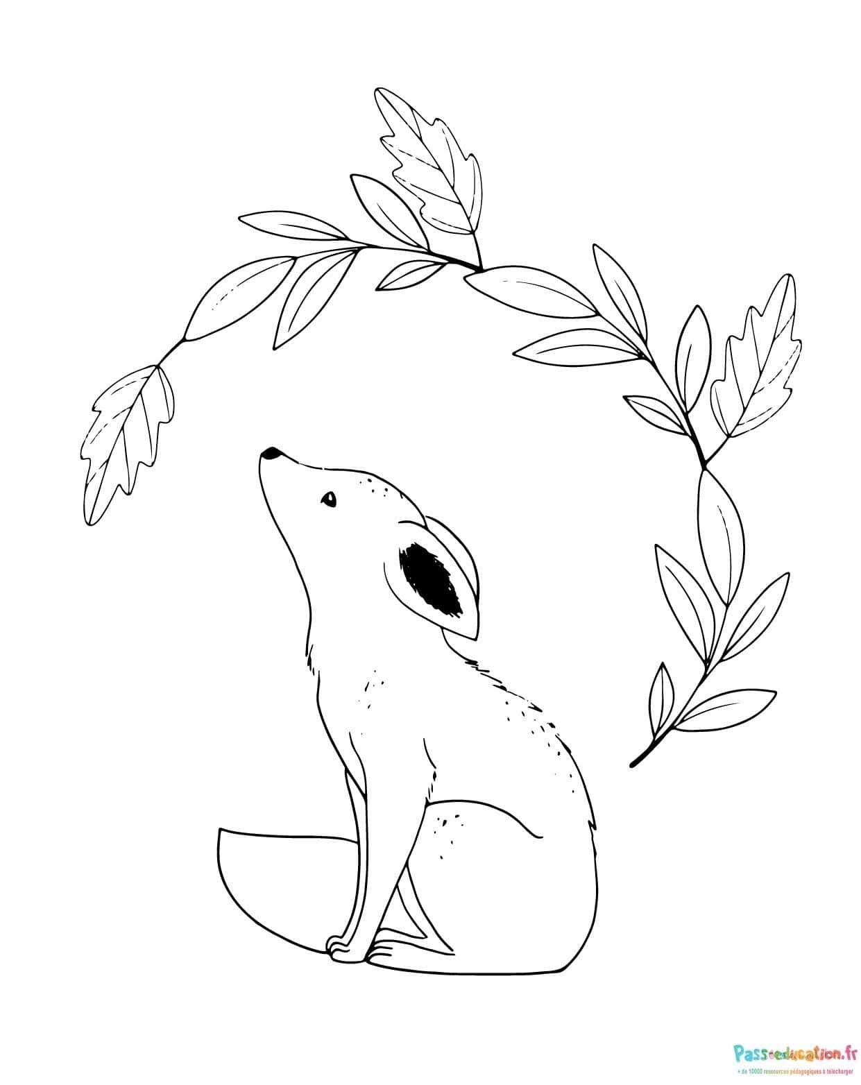 Coloriage Renard curieux à imprimer et colorier