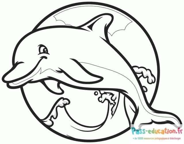Coloriage Dessin dauphin souriant à imprimer et colorier