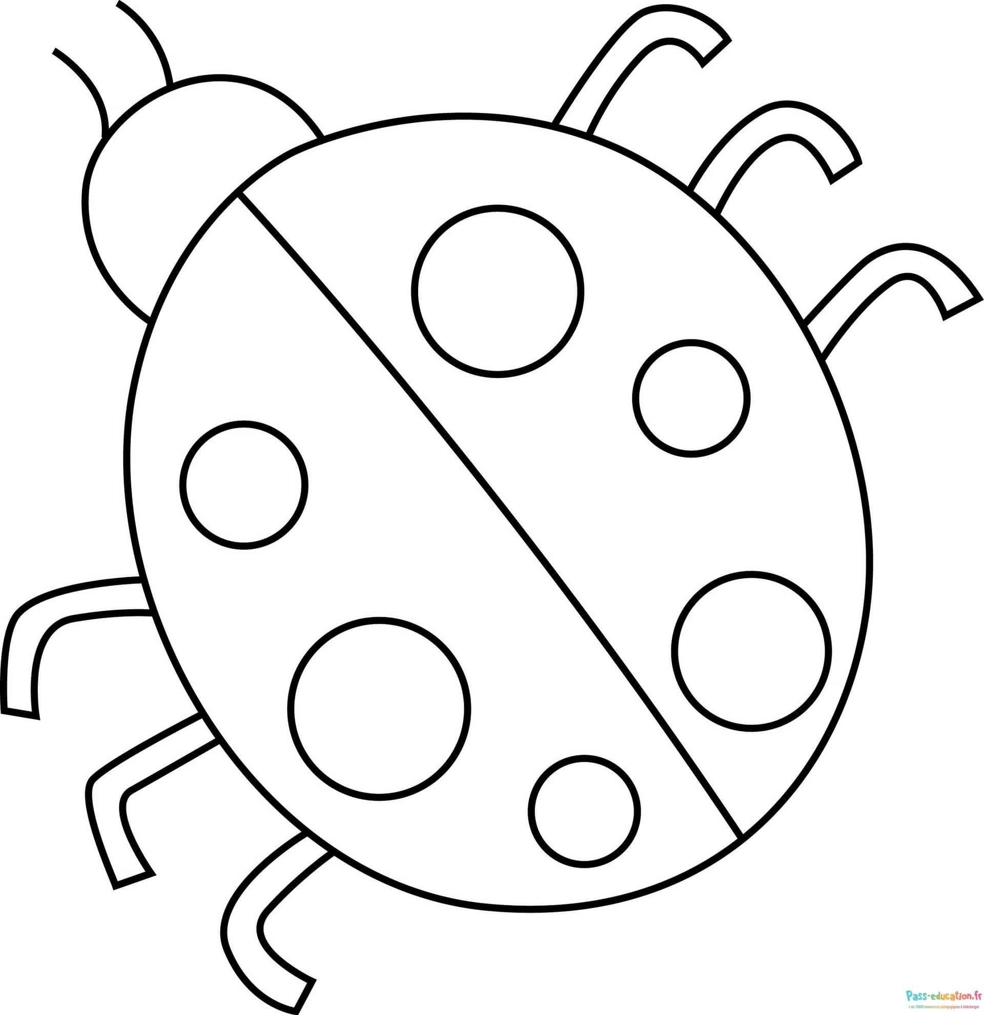 Coloriage Coccinelle à colorier à imprimer et colorier