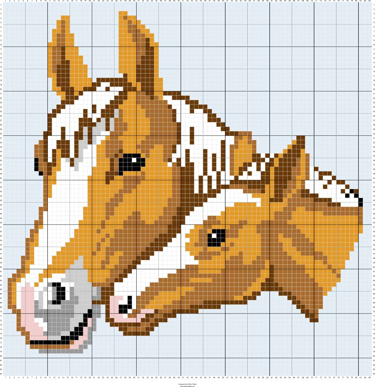 Coloriage Têtes de Cheval à imprimer et colorier