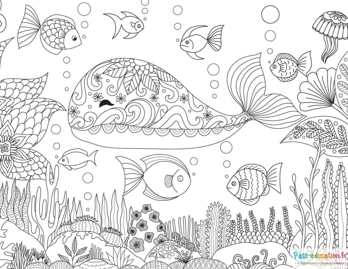 Coloriage Monde sous-marin à imprimer et colorier