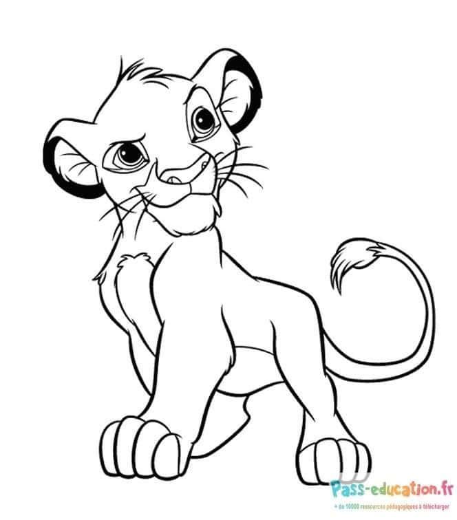 Coloriage Jeune lion à imprimer et colorier