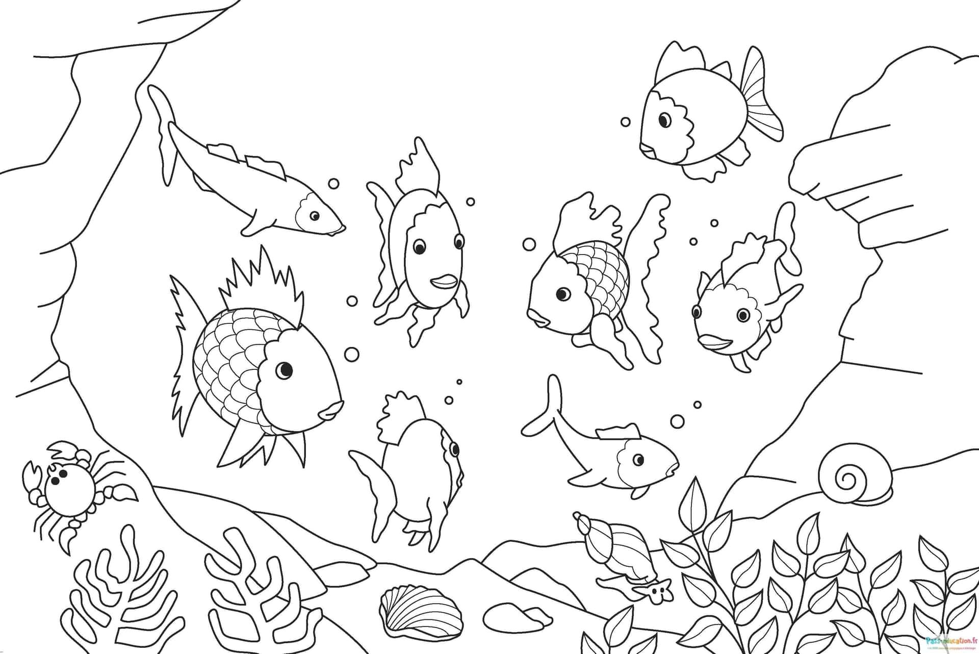 Coloriage Monde sous-marin à imprimer et colorier