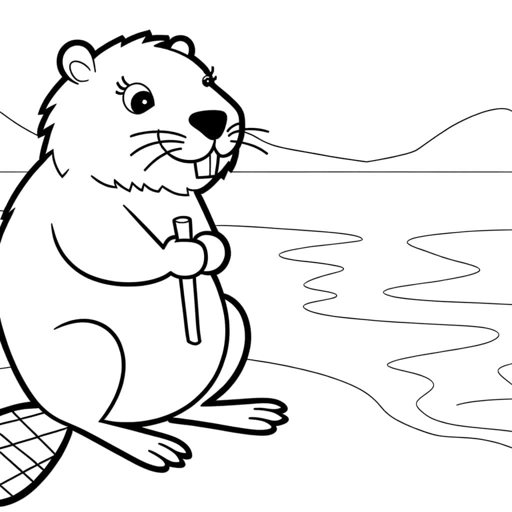 Coloriage Castor au bord de l'eau à imprimer et colorier