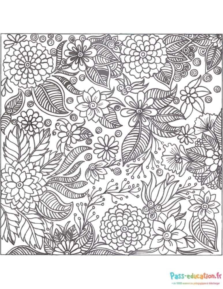 Coloriage Fleurs et feuilles complexes à imprimer et colorier