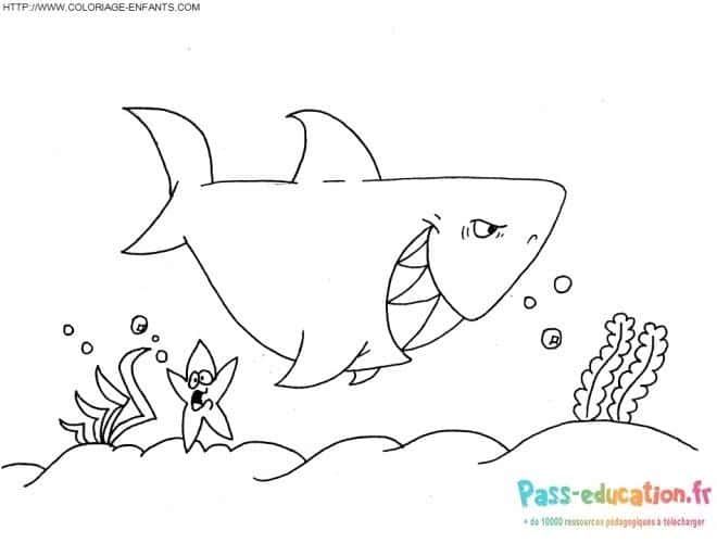 Coloriage Requin souriant à imprimer et colorier