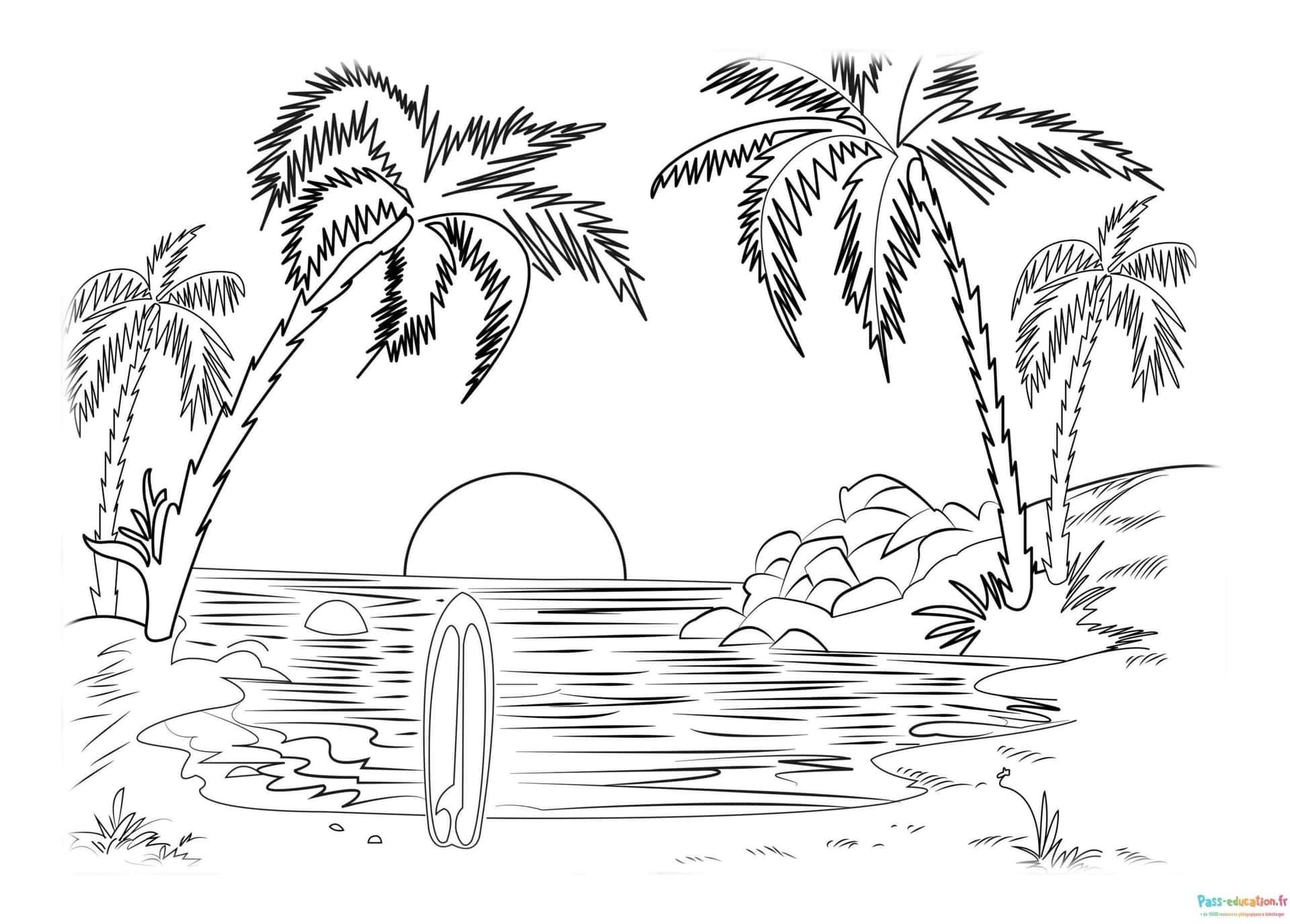 Coloriage Coucher de soleil tropical à imprimer et colorier