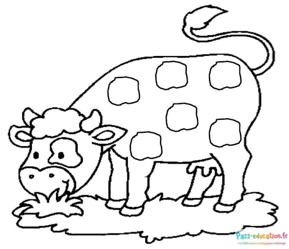 Coloriage Vache à colorier à imprimer et colorier