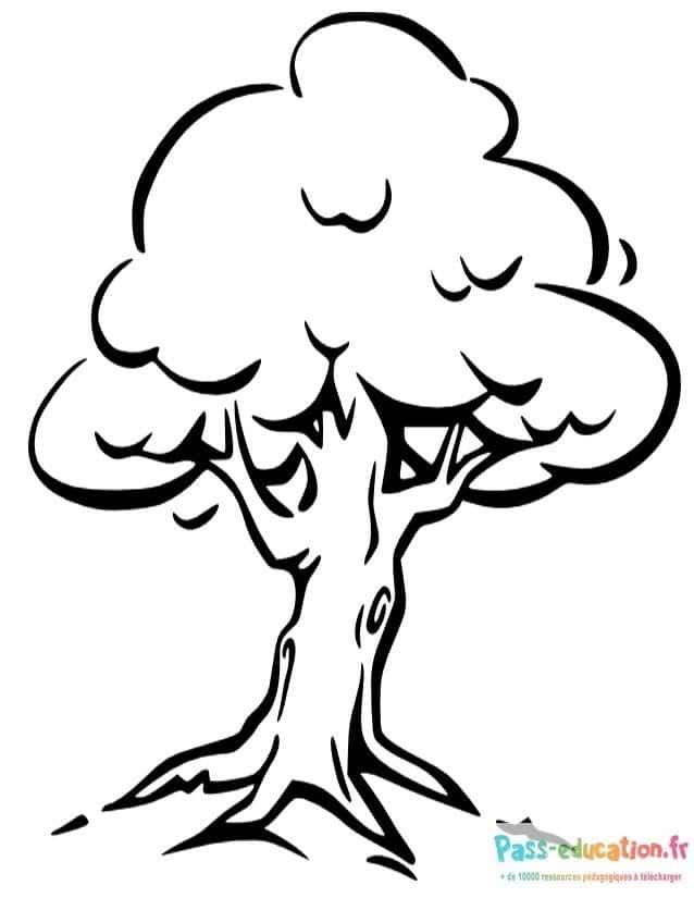 Coloriage Arbre majestueux à imprimer et colorier