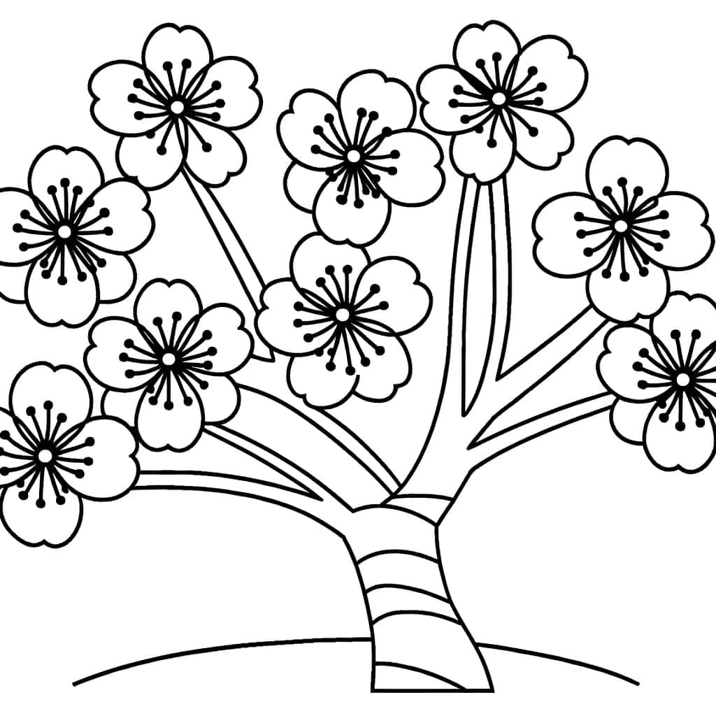 Coloriage Cerisier Du Japon à imprimer et colorier