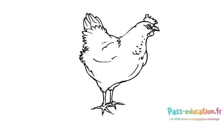 Coloriage Poule debout à imprimer et colorier