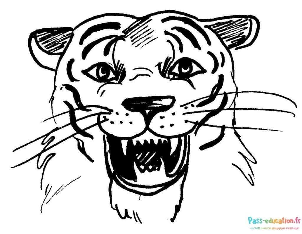 Coloriage Tigre rugissant à imprimer et colorier