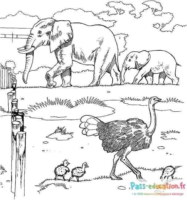 Coloriage Animaux du zoo à imprimer et colorier