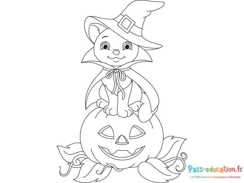 Coloriage Chat sorcier à imprimer et colorier